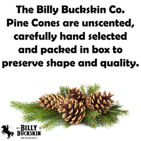 Billy Buckskin pine cones wreath centerpiece for seasonal DIY home decoration.