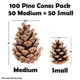 Medium and small Billy Buckskin pinecones close-up for tree ornaments and wreath accents