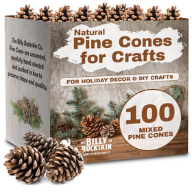 Billy Buckskin pinecones in mixed sizes for rustic décor and DIY crafts