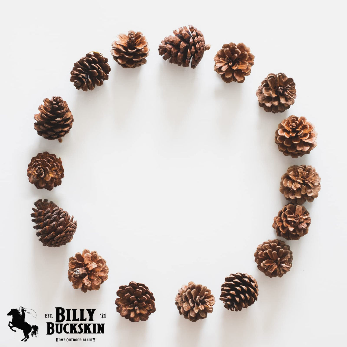 Billy Buckskin pinecones as vase fillers to brighten tables with natural appeal