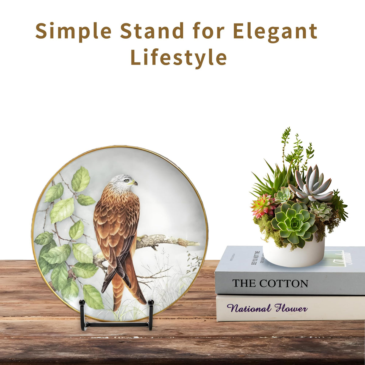 Birity tabletop plate stand on kitchen counter for organized display