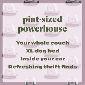 Bissell Little Green Mini upholstery cleaning to refresh couches and chairs