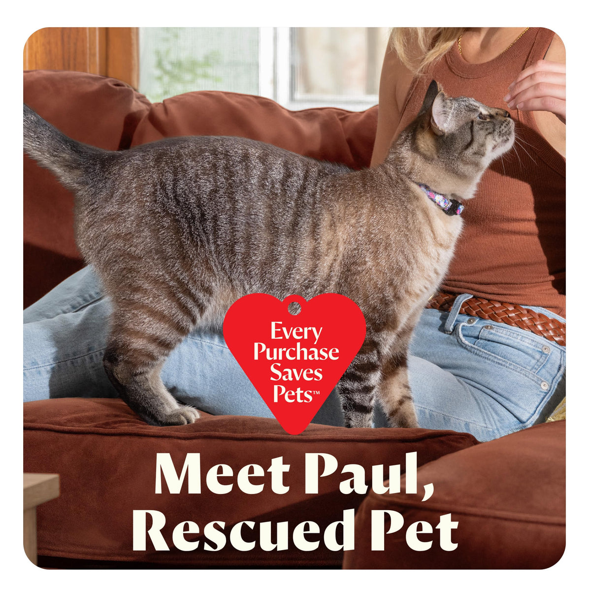 Bissell Pet stain removal formula helps lift odors from fabrics.