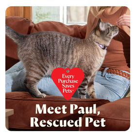 Bissell Pet stain removal formula helps lift odors from fabrics.