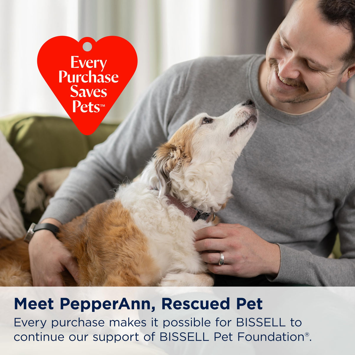 Bissell TurboClean Pet formulas pack with Clean + Protect and OXY Urine Eliminator.