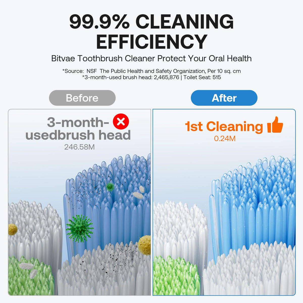 Auto-cycle cleaning and ventilation keep brushes dry after use.