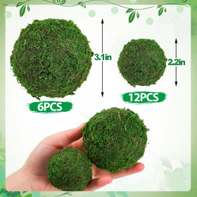 Biubee moss balls enhance vase fillers and centerpieces with greenery