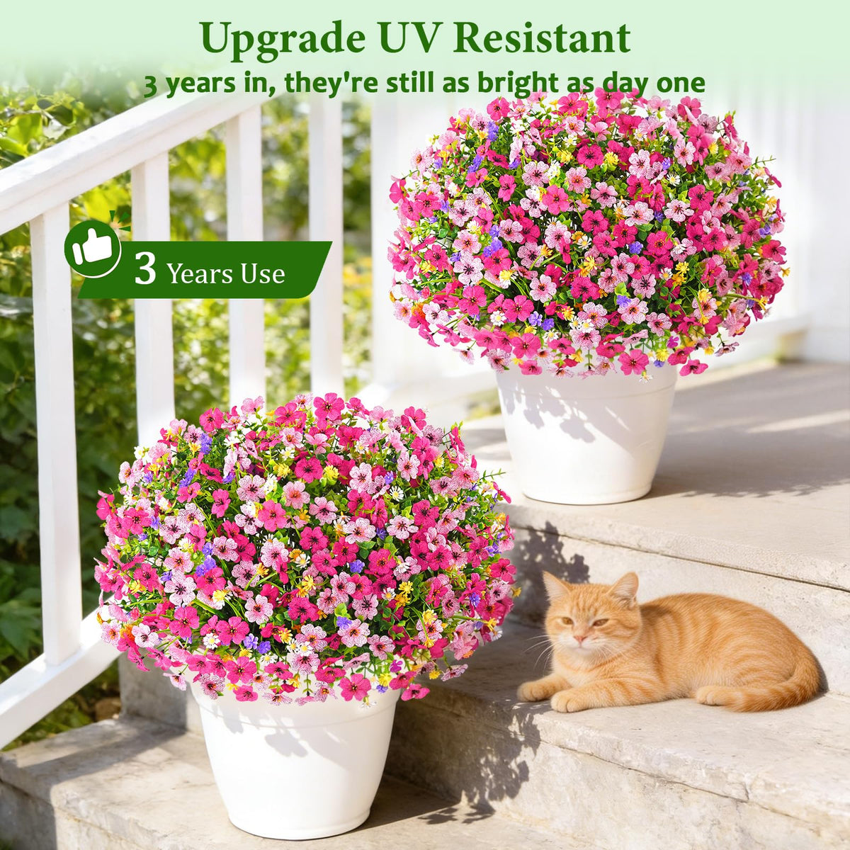 BLEUM CADE outdoor flowers: detailed petal close-up emphasizes realistic texture.