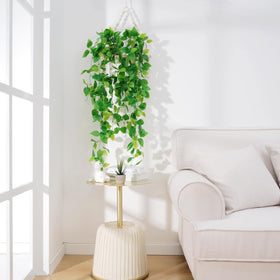 BLEUM CADE 4-piece pothos set ready for versatile decor.
