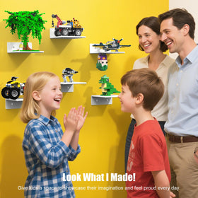 Bricks and minifigures showcased on BlissBox shelves