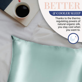 Blissy silk pillowcase queen size in mint color enhances bedroom style.
