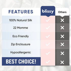 Blissy silk pillowcase in queen size enhances your sleep setup.