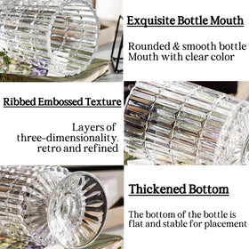 BLOFLO STU hydroponic-friendly glass vase supports modern floral arrangements.