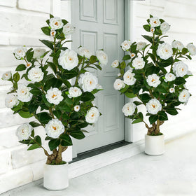BLOSMON artificial camellia tree on porch for maintenance-free curb appeal.