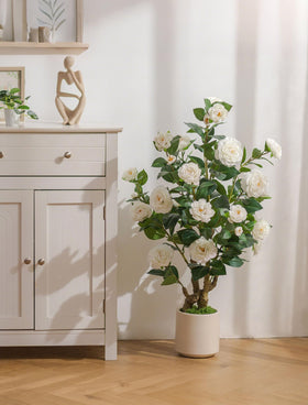 Pre-assembled BLOSMON camellia tree ready for quick setup.
