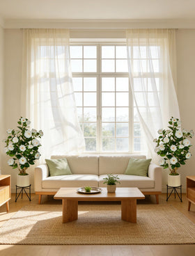 Two BLOSMON camellia trees arranged as a coordinated decor duo.