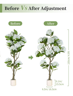 BLOSMON Hydrangea tree enhances patio decor with indoor versatility.