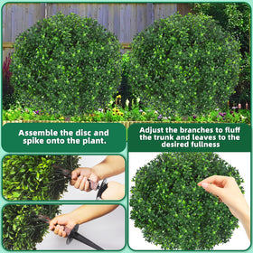 Two Bloyapix boxwood topiaries framing a front porch in planters