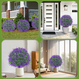 Bloyapix lavender topiary lines a garden path for a refined look