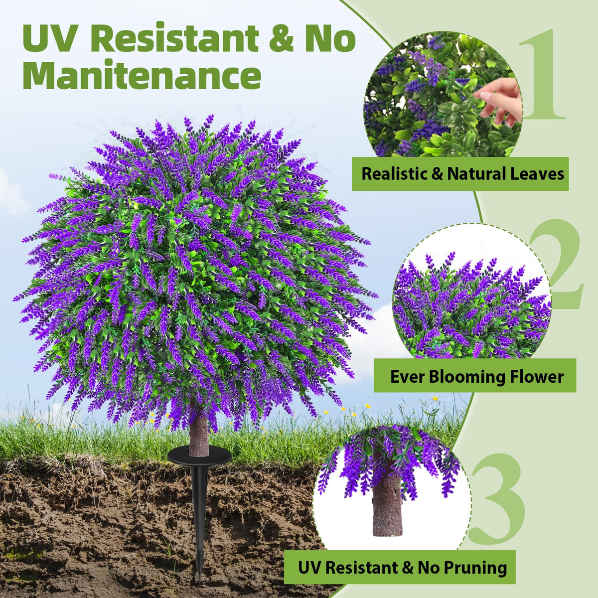 Bloyapix detailed canopy of lavender topiary with rounded silhouette