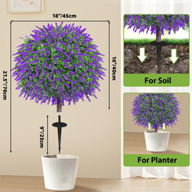 Bloyapix pair of lavender boxwood topiaries beside doorway for inviting entry