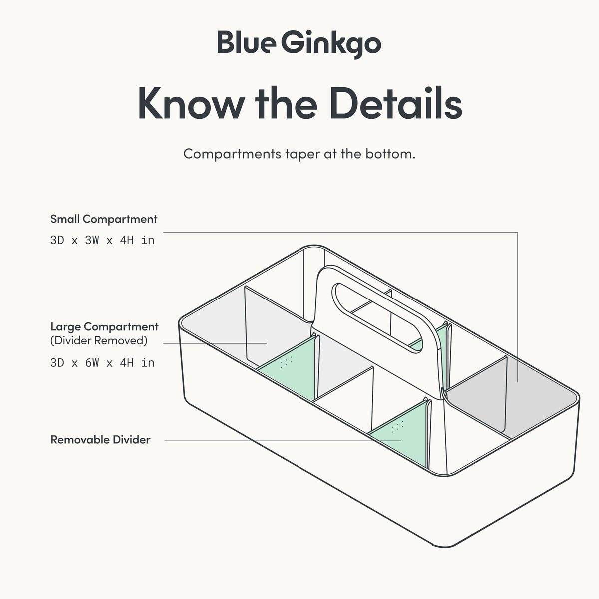 BLUE GINKGO durable Korean-made plastic organizer supports long-lasting storage