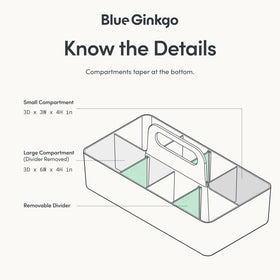 BLUE GINKGO durable Korean-made plastic organizer supports long-lasting storage