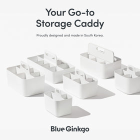 BLUE GINKGO Caddy ideal for office and crafts