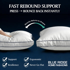 Blue Ridge gusseted pillow, 2-inch panel helps maintain shape overnight