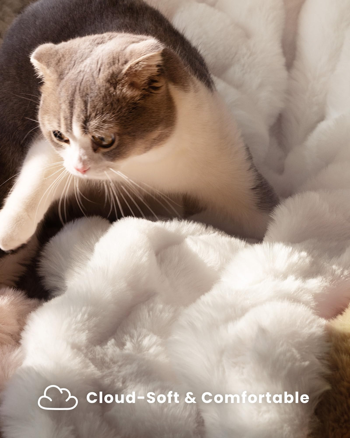 blunique throw blanket crystal soft short plush reverse for smooth comfort