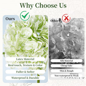 BonBloom's hydrangea petals—196 per bloom—rich, full blooms.