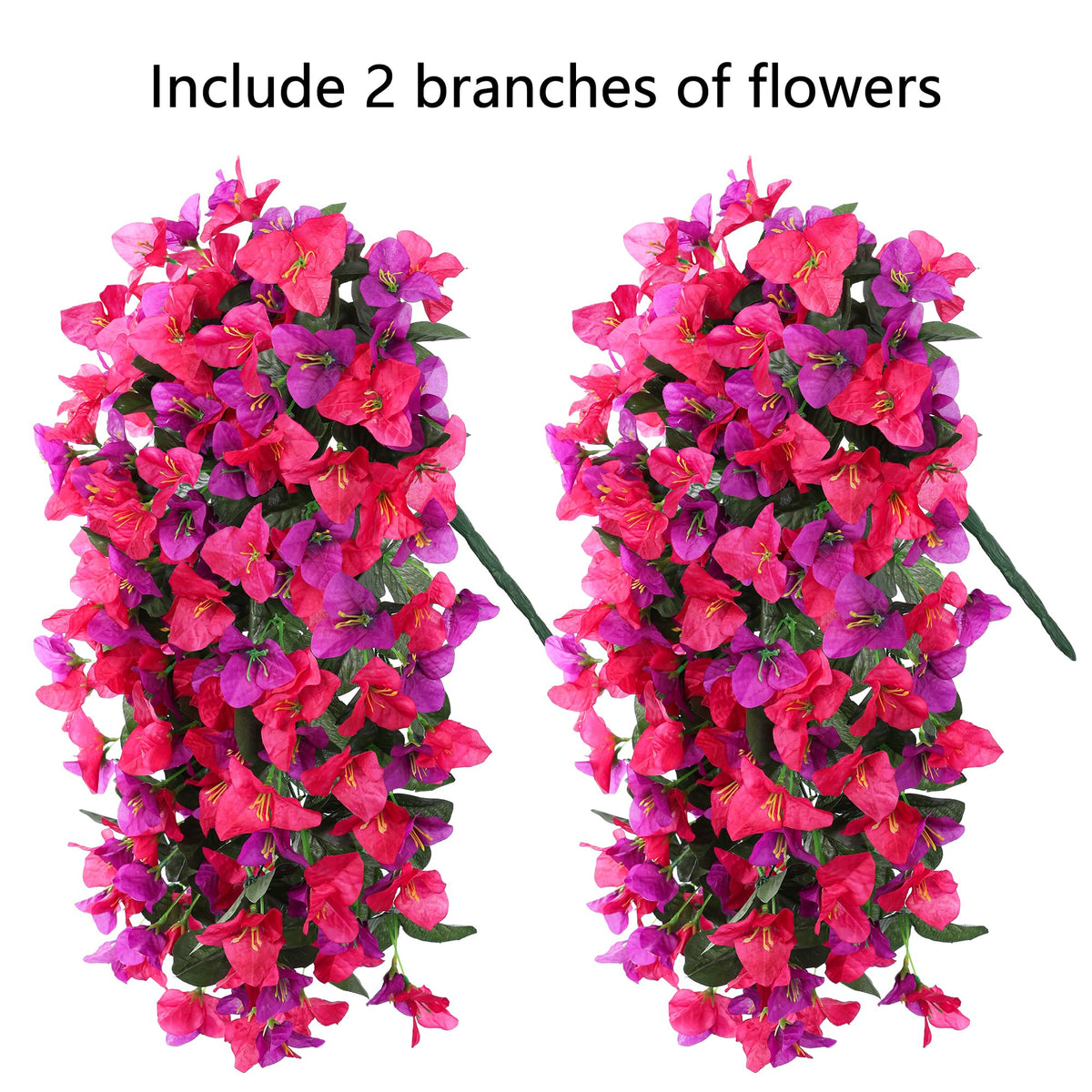 INSPRING bougainvillea trailing vine requires minimal upkeep, no watering.