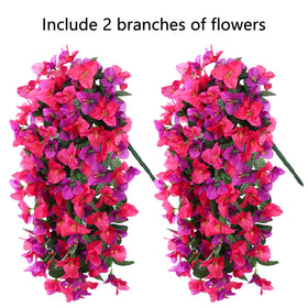 INSPRING bougainvillea trailing vine requires minimal upkeep, no watering.