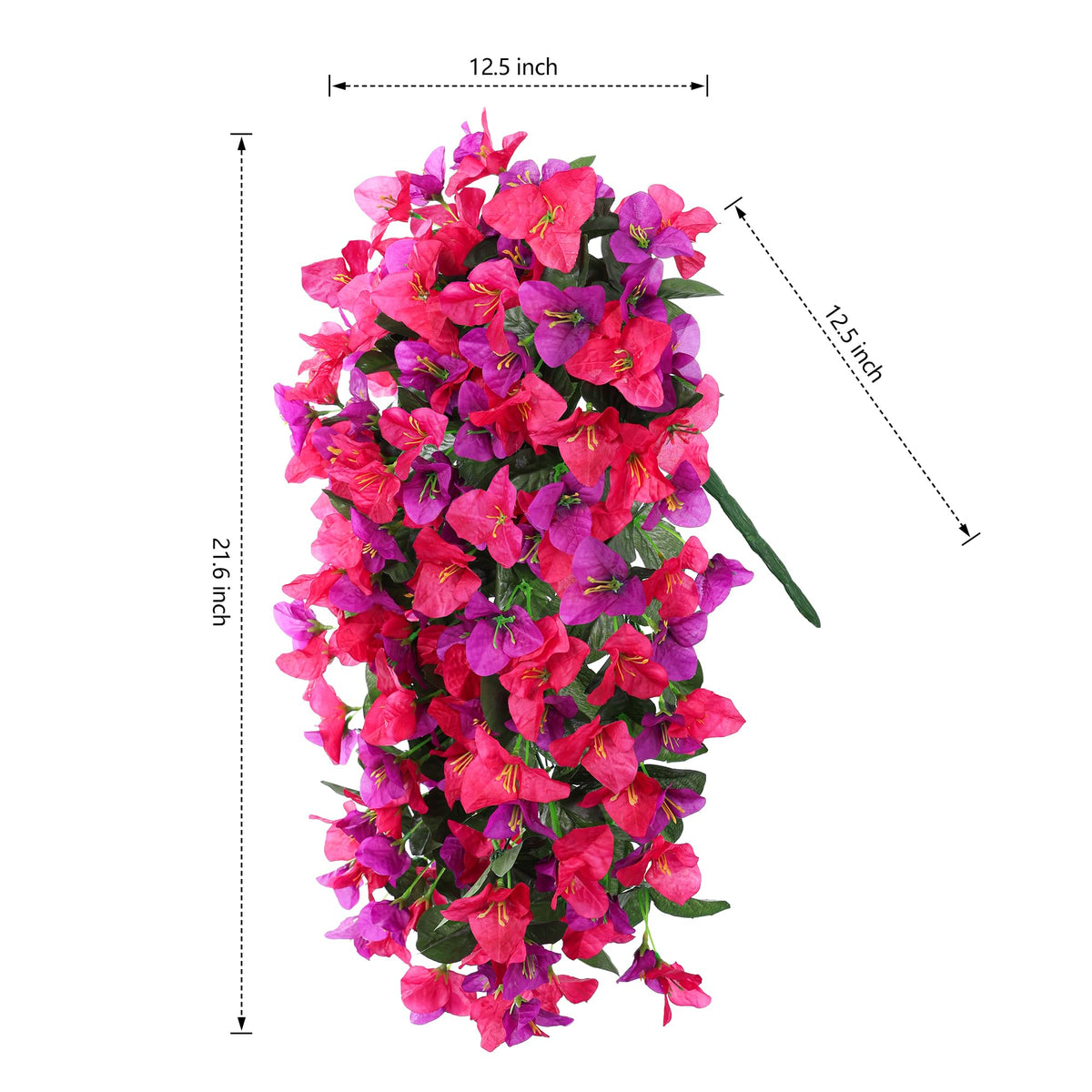 INSPRING bougainvillea trailing vine drapes beautifully on railings.