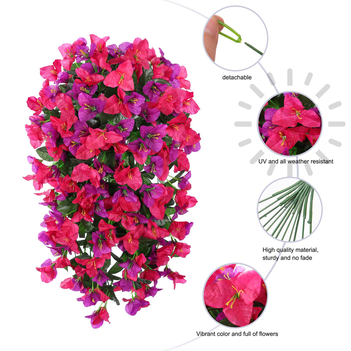 INSPRING bougainvillea trailing vine ideal for front doors and porches.