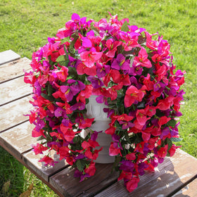 INSPRING bougainvillea trailing vine maintains color outdoors across seasons.