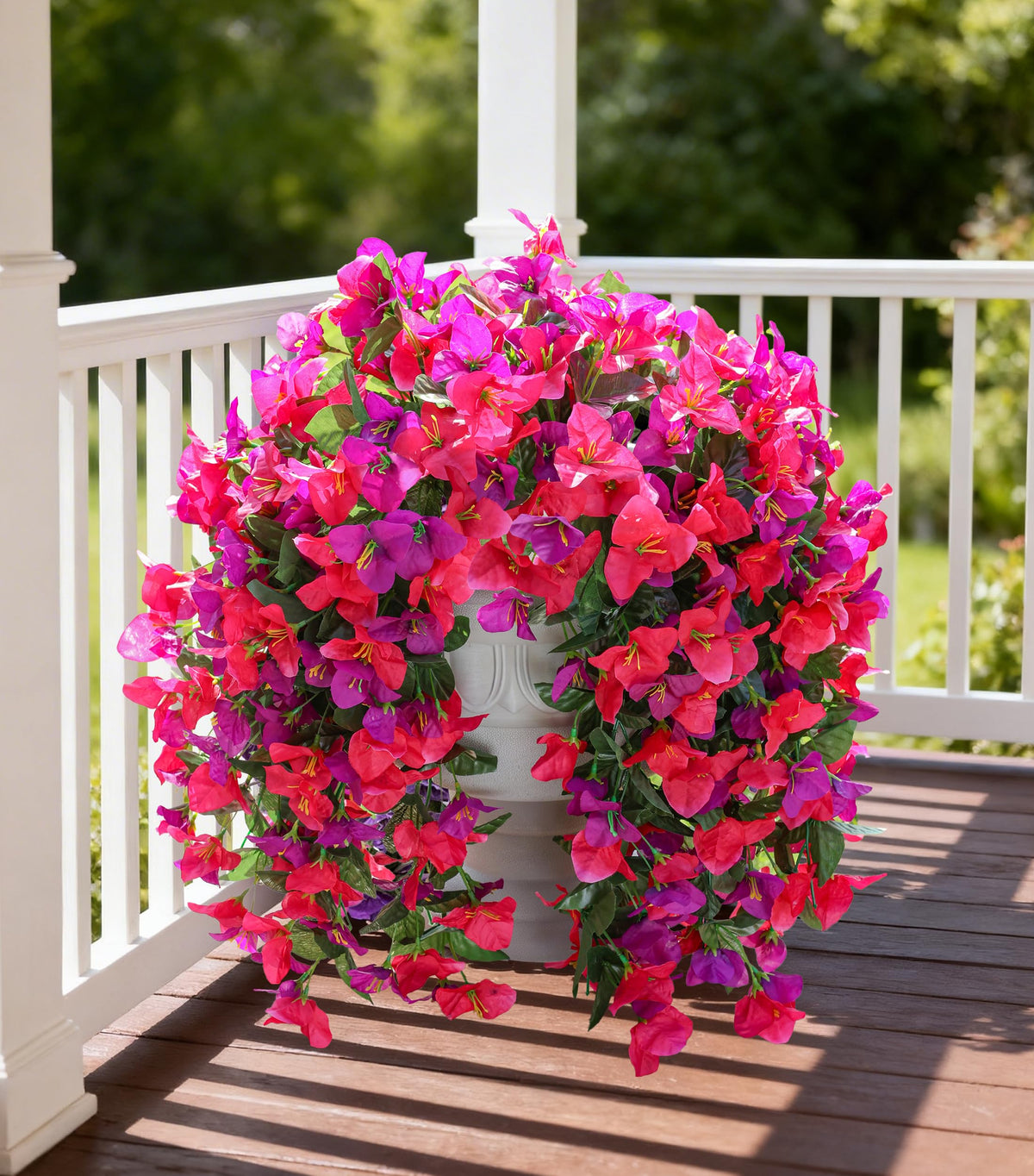 INSPRING bougainvillea trailing vine enhances yards and window boxes.