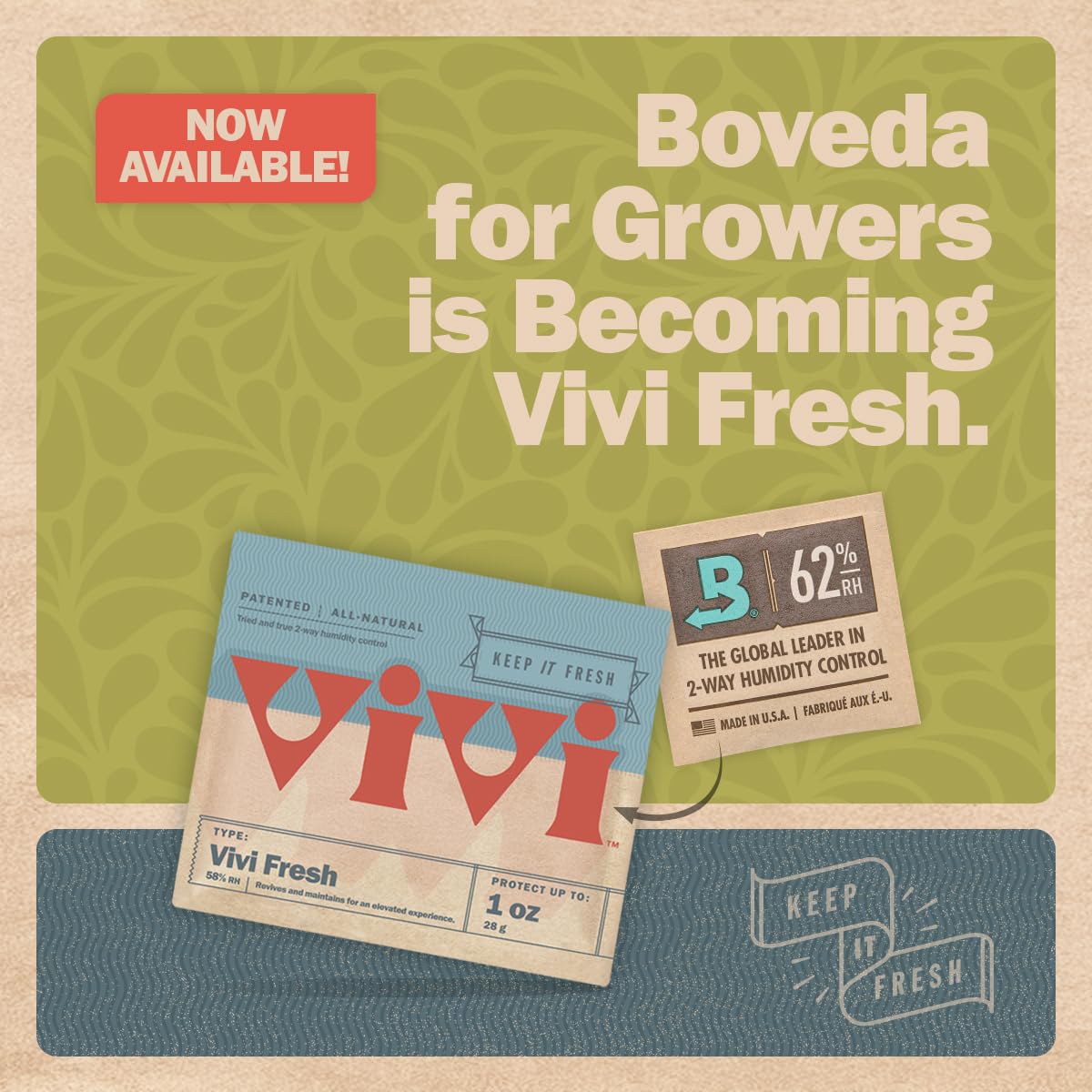 Boveda 62% pack placed in an airtight container to stabilize humidity