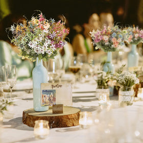 Bovvered daisies are bouquet-ready and fit most vases.