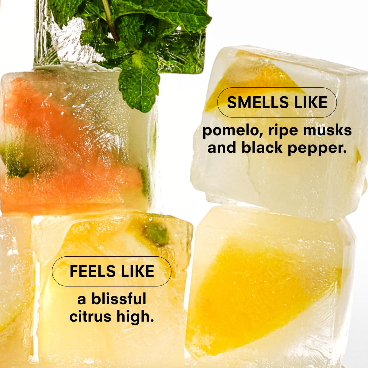 Boy Smells Citrush candle ripe musk finish enhances cozy ambience.