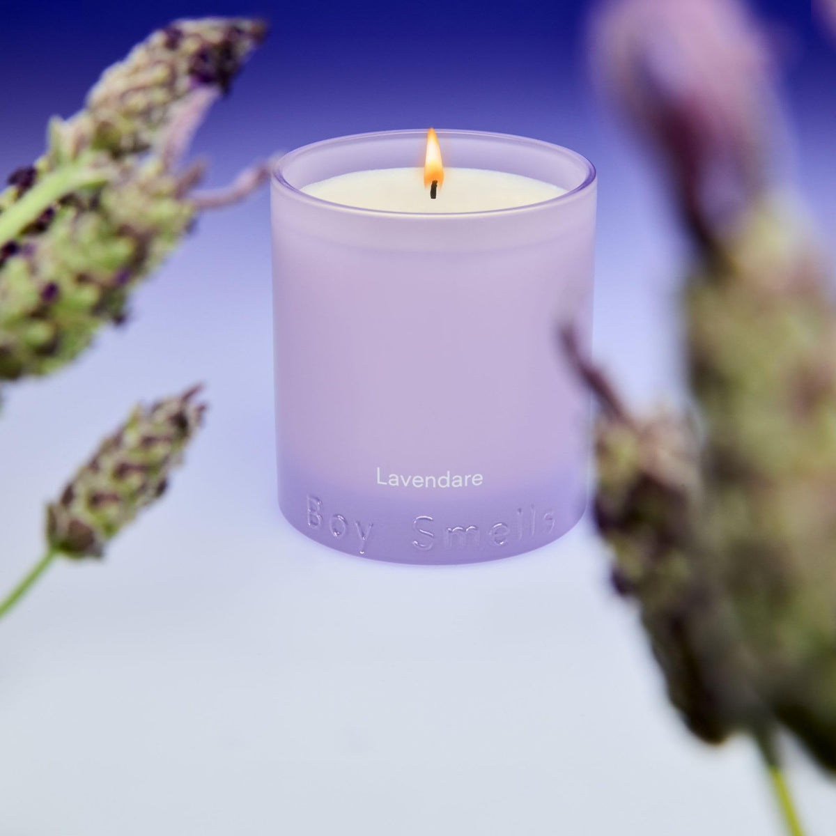 Boy Smells Lavender Candle burn time visual indicates long, even diffusion.