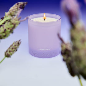 Boy Smells Lavender Candle burn time visual indicates long, even diffusion.