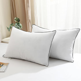 BPC Luxury Hotel Goose Down Pillow packaging shows a convenient two-pillow set for home use