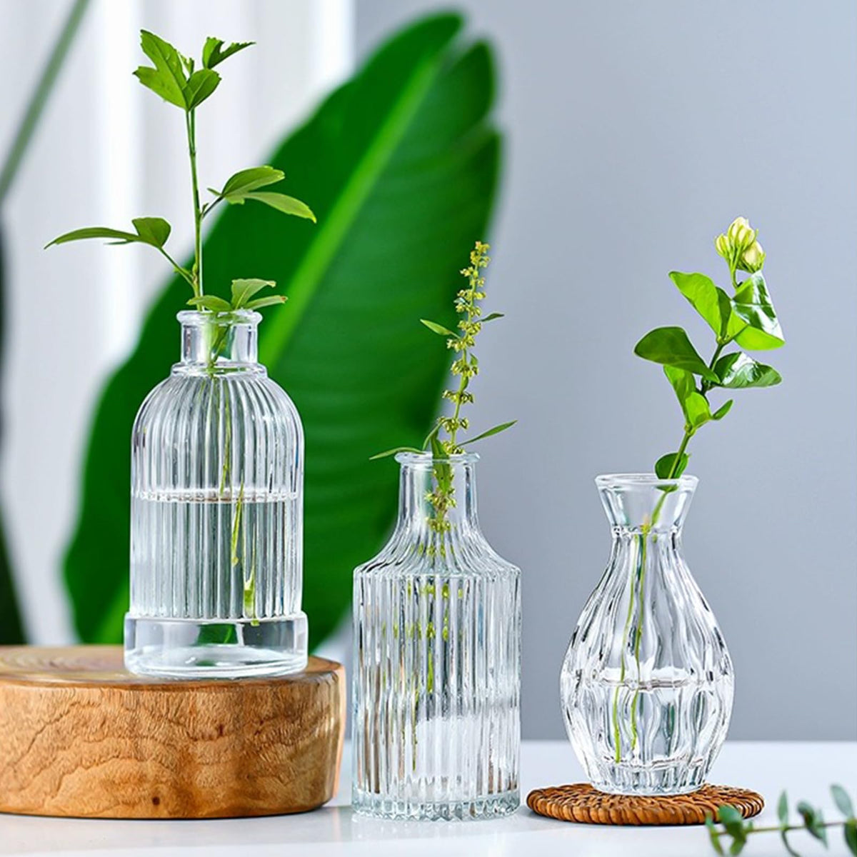 Brajttt dining-table decor bud vases for fresh or dried blooms.