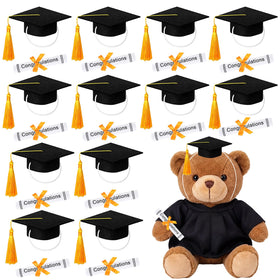 Breling 24-pcs mini graduation caps with tassels for pet photo props.