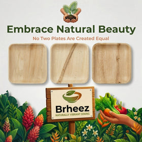 Brheeze outdoor dining plates perfect for picnics and barbecues.