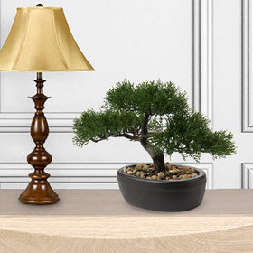 Briful juniper bonsai on a shelf enhances living room ambiance.