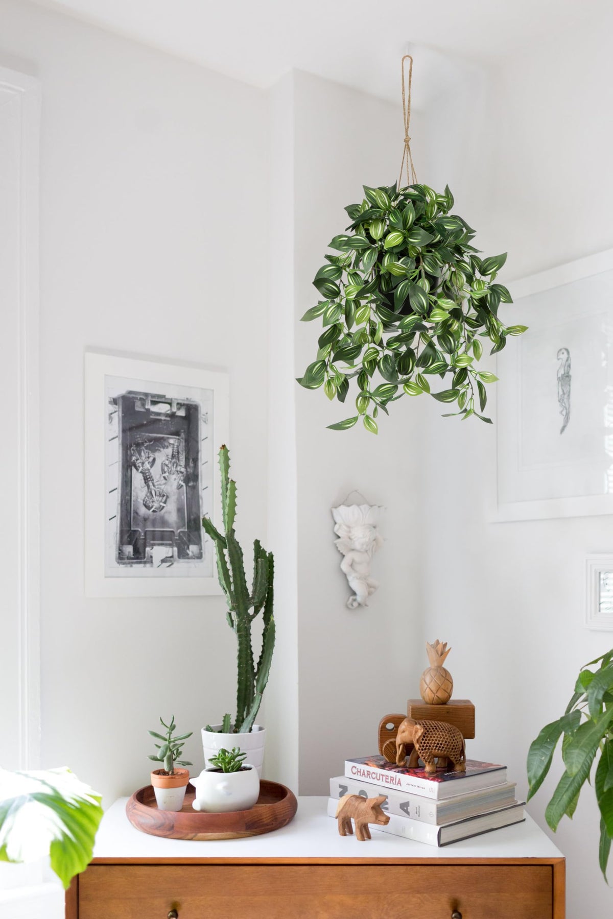 Briful faux plant suitable for indoor and sheltered outdoor spaces.