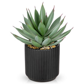 Briful artificial succulents in a black ceramic vase for modern decor.