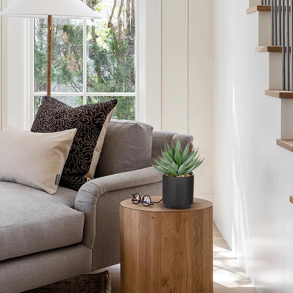 Briful succulents on kitchen counter for instant greenery and style.